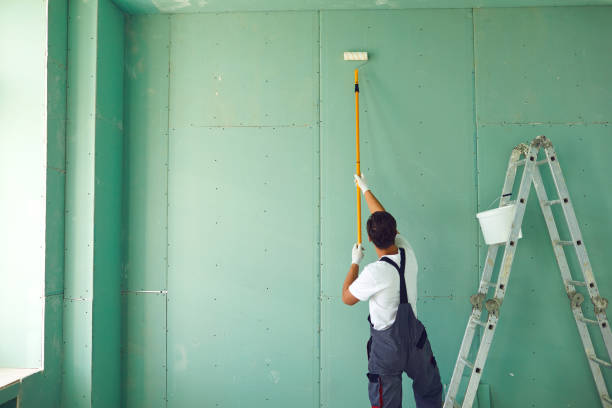 Reliable Norman Park, GA Dry wall and painting Solutions