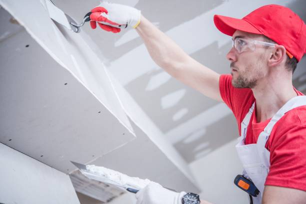 Best Ceiling Drywall Installation  in Norman Park, GA